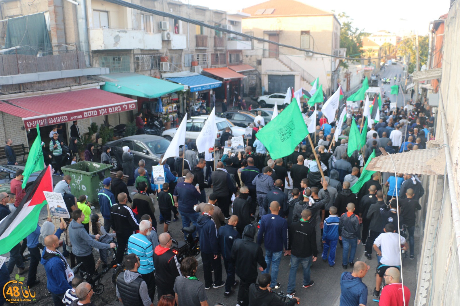 yaffa modahara jeq (11).jpg